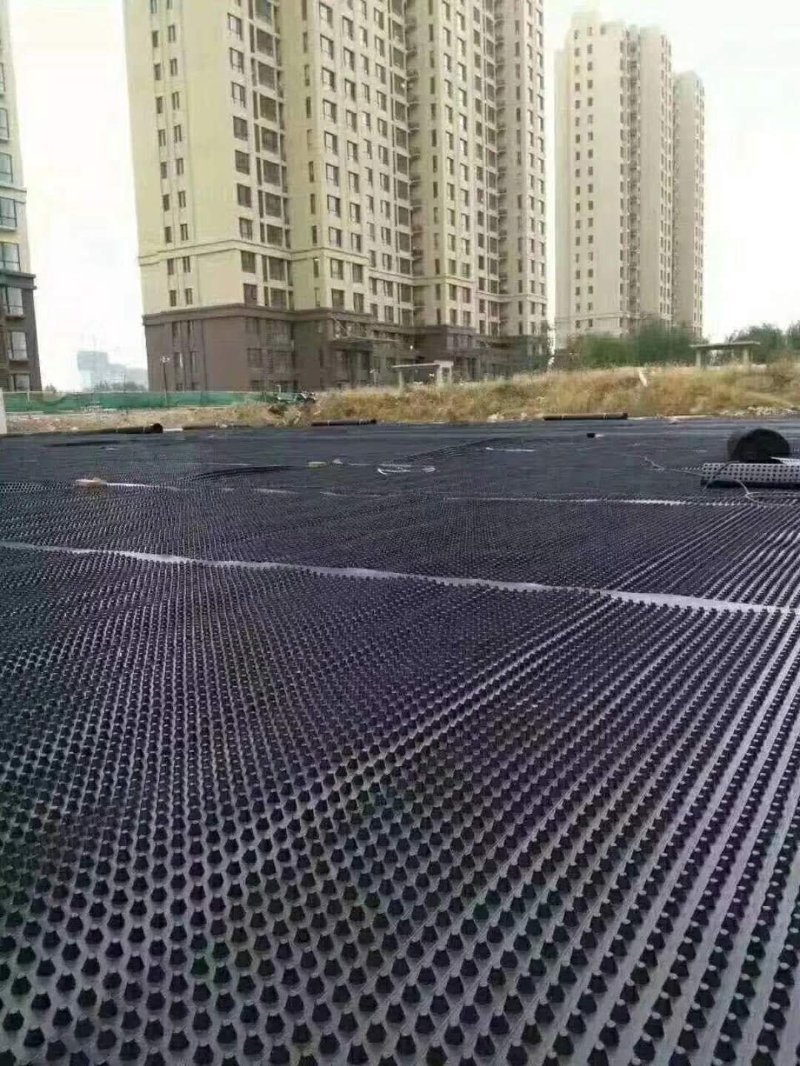 土工格栅